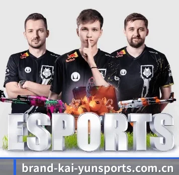 开云体育 APP | kaiyunsport